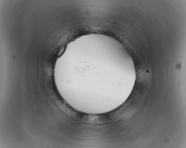 X0000089930472200707271801