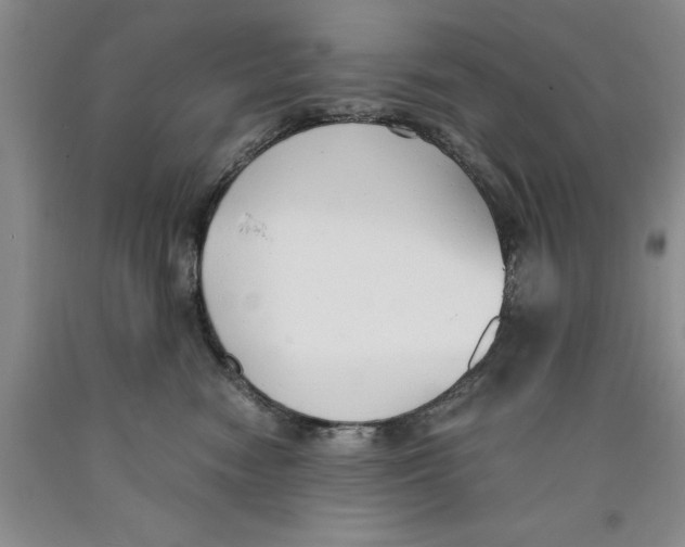 X0000089930474200707271801