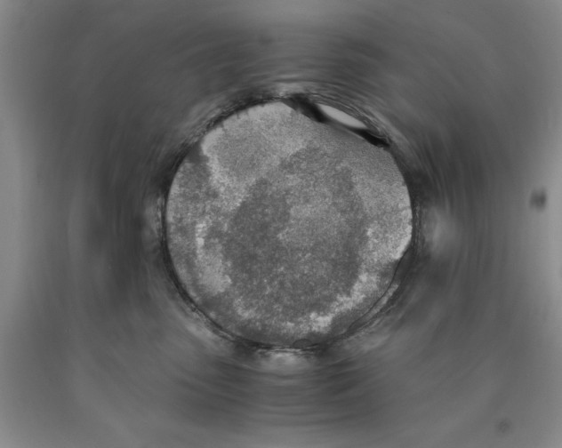 X0000089930475200707271801