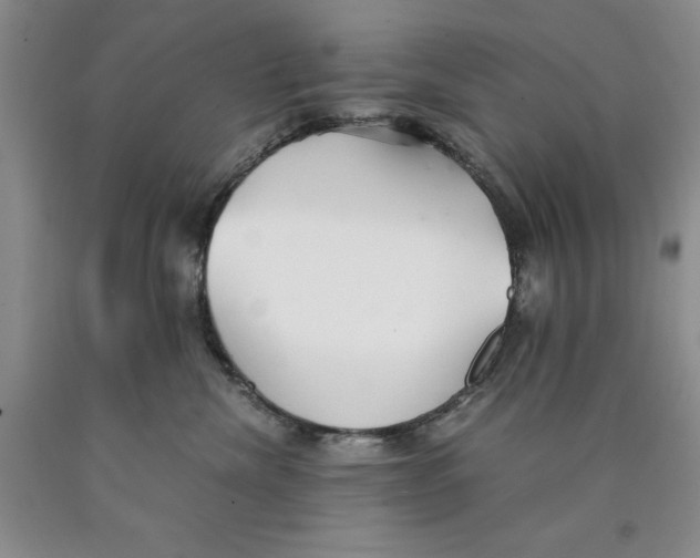 X0000089930476200707271801