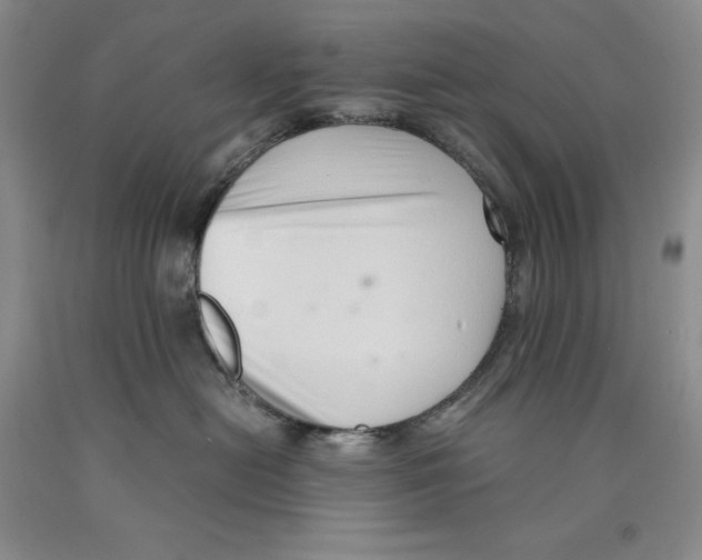 X0000089930478200707271801