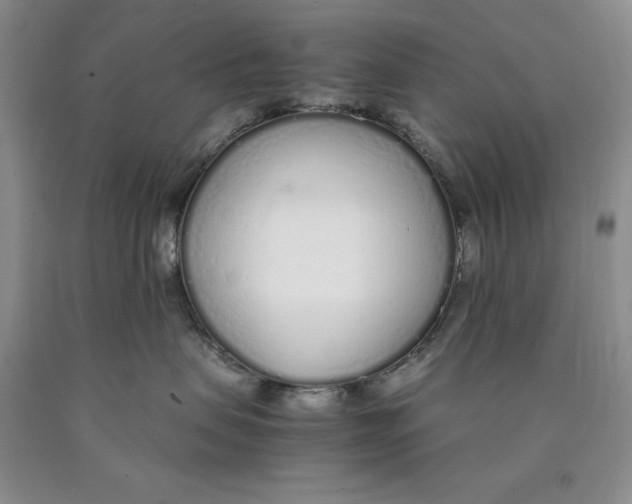 X0000089930479200707271801