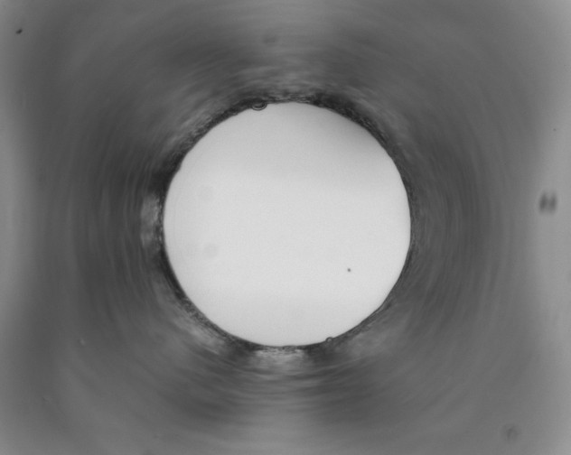 X0000089930480200707271801