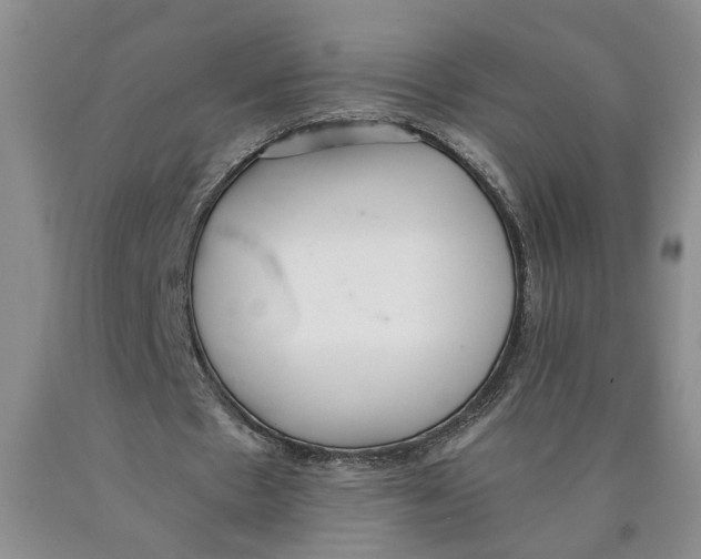 X0000089930481200707271801