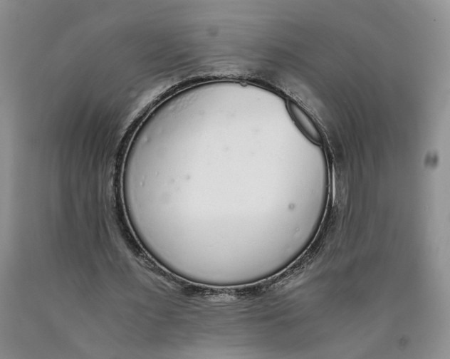 X0000089930483200707271801