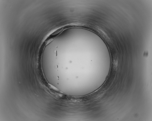 X0000089930484200707271801