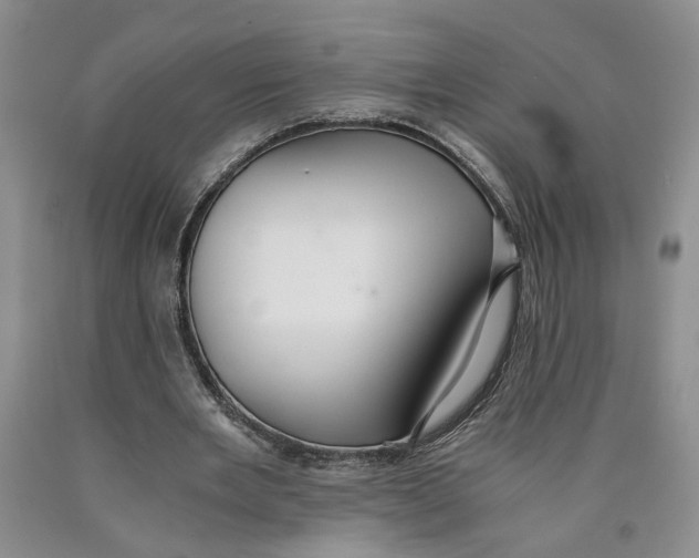 X0000089930485200707271801