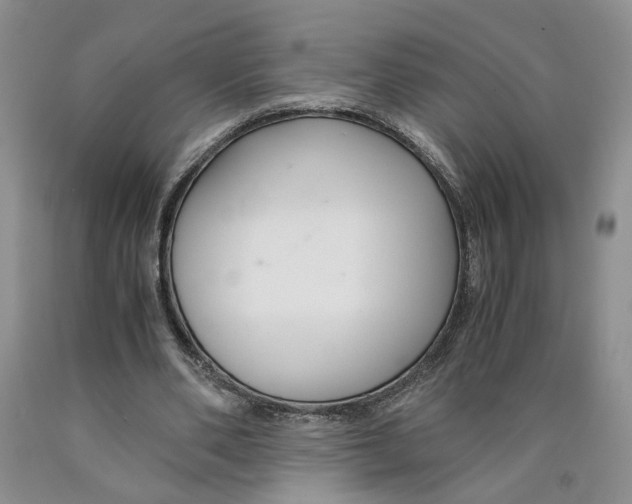 X0000089930486200707271801