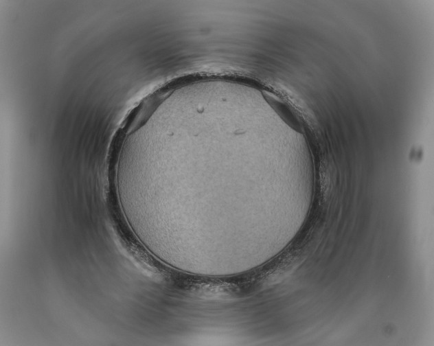 X0000089930488200707271801