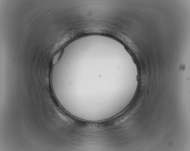 X0000089930489200707271801