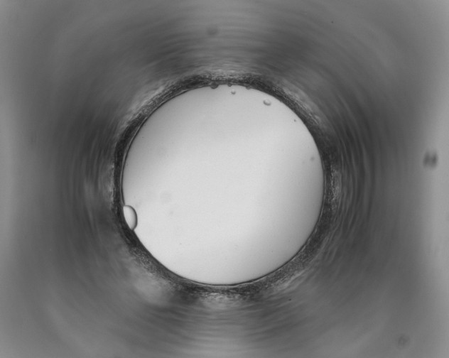 X0000089930494200707271800