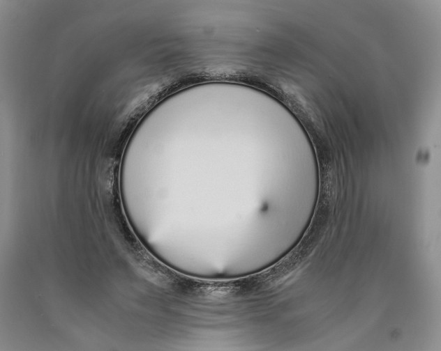 X0000089930495200707271800