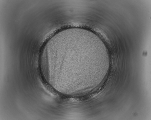 X0000089930496200707271800