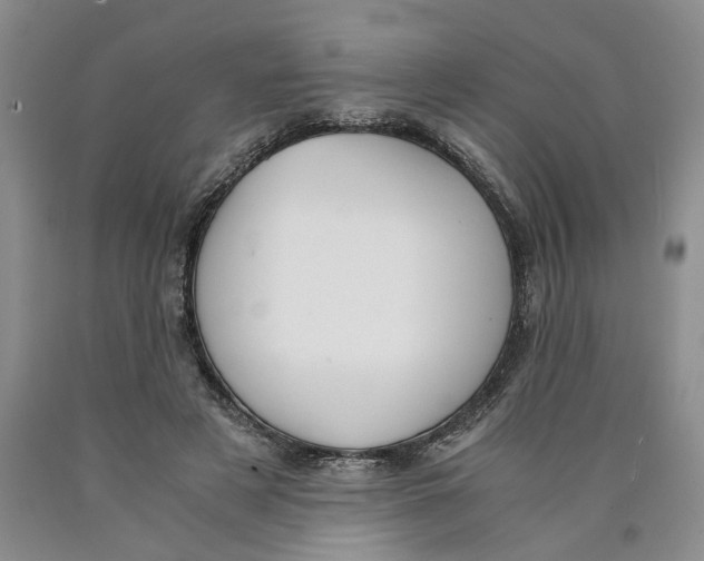 X0000089930497200707271800