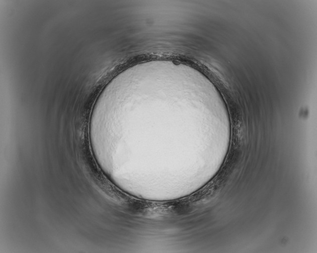 X0000089930499200707271800