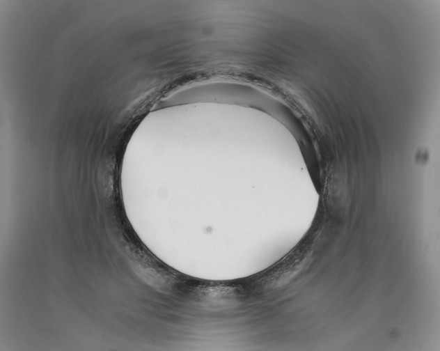 X0000089930501200707271800