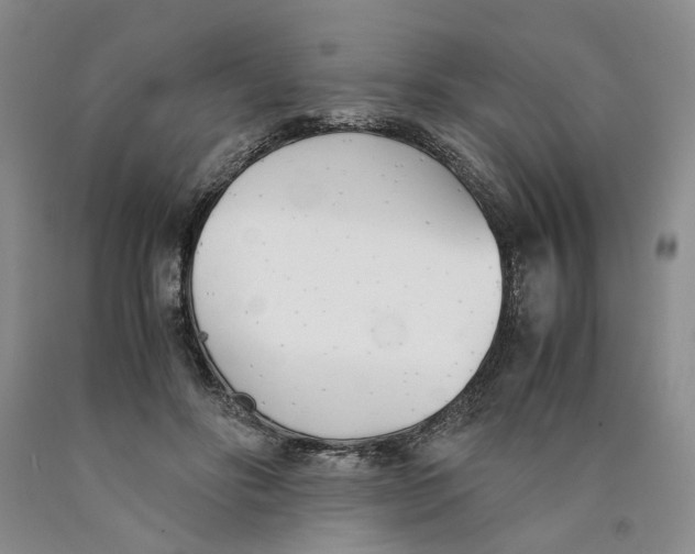 X0000089930502200707271800