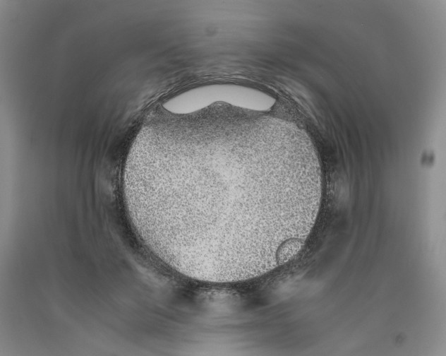 X0000089930503200707271800