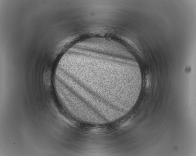 X0000089930504200707271800