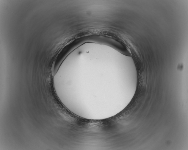 X0000089930505200707271800