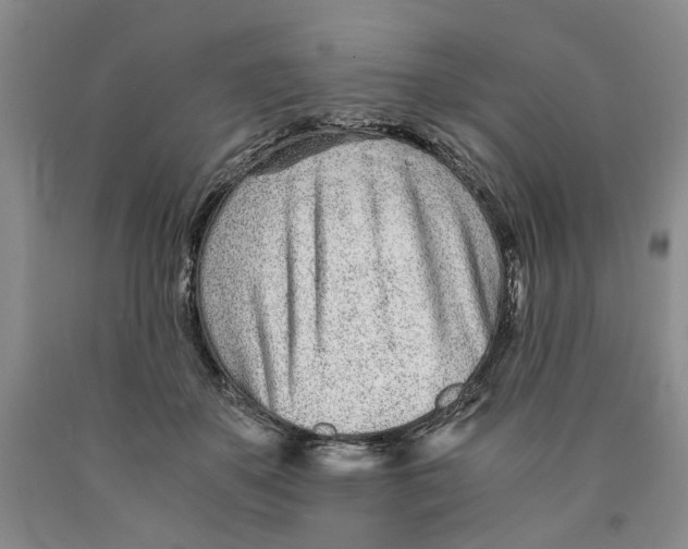 X0000089930507200707271800