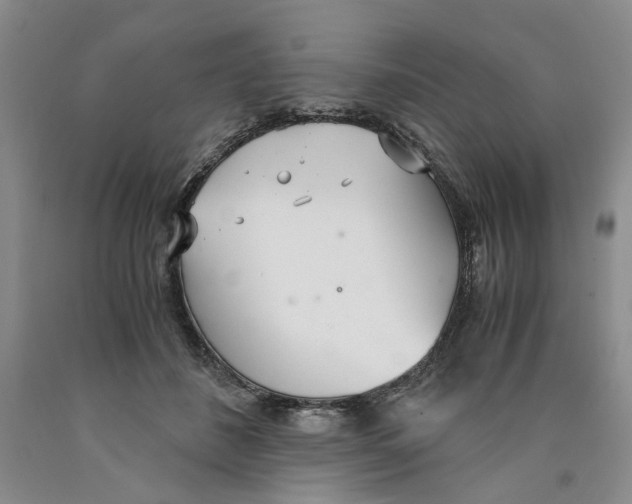 X0000089930508200707271800