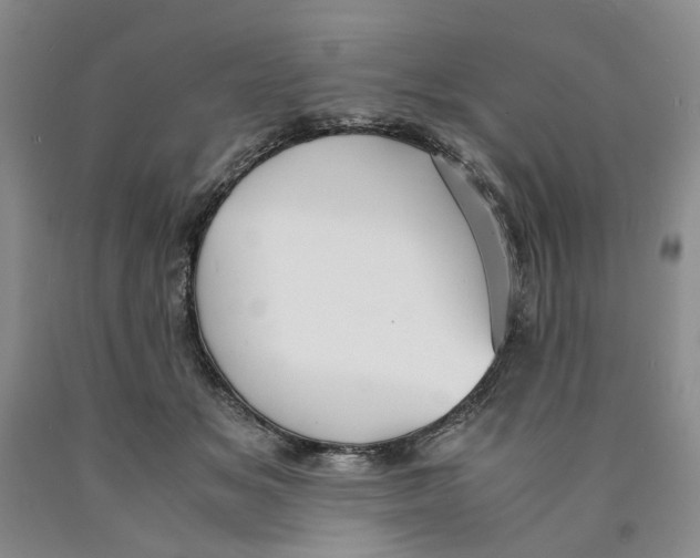 X0000089930509200707271800