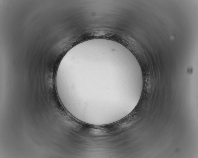 X0000089930510200707271800