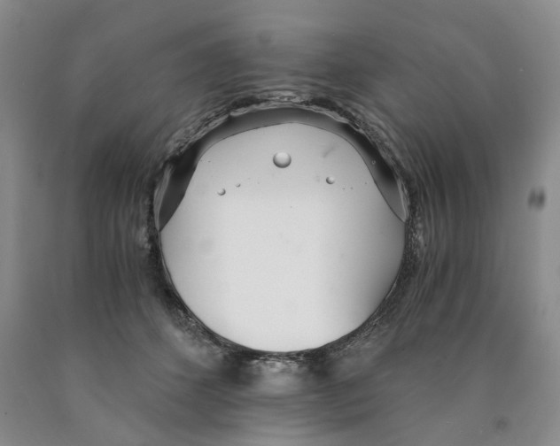 X0000089930512200707271800