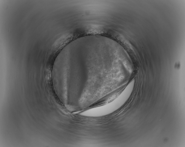 X0000089930517200707271800