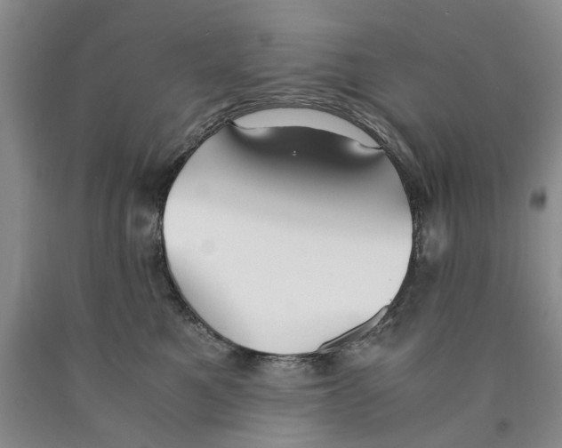 X0000089930521200707271800