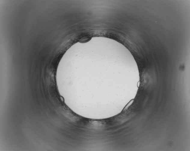 X0000089930522200707271800