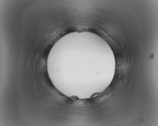 X0000089930523200707271800