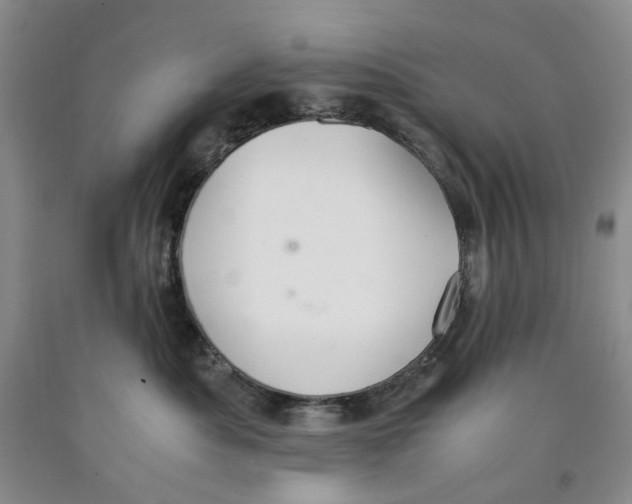 X0000089930525200707271800