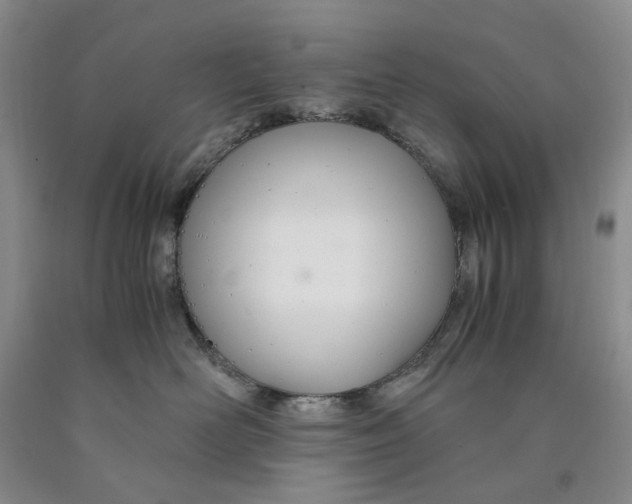 X0000089930526200707271800