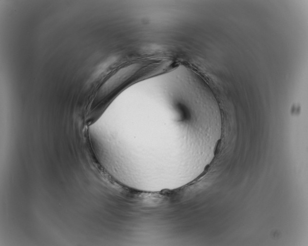 X0000089930528200707271800