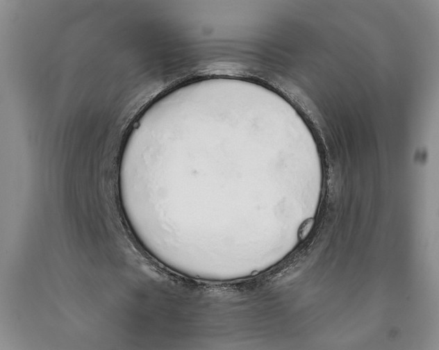 X0000089930529200707271759