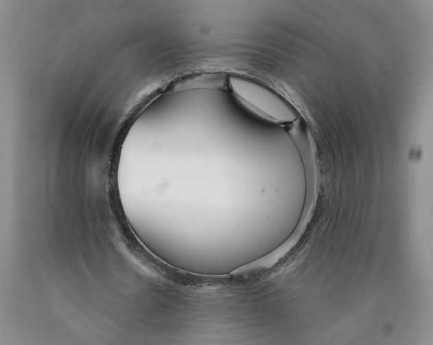 X0000089930530200707271759