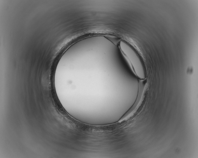 X0000089930531200707271759