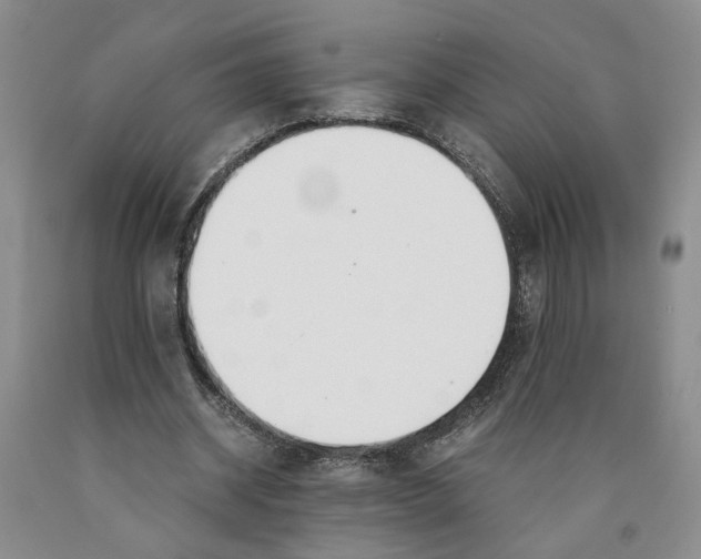 X0000089930534200707271800