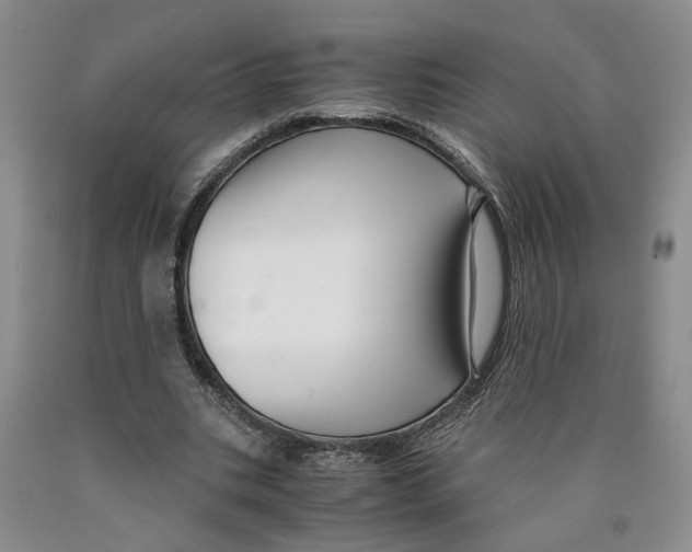 X0000089930535200707271800