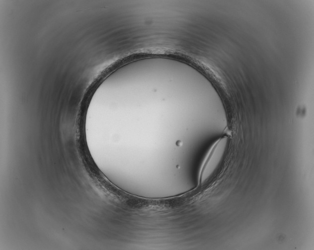 X0000089930536200707271800