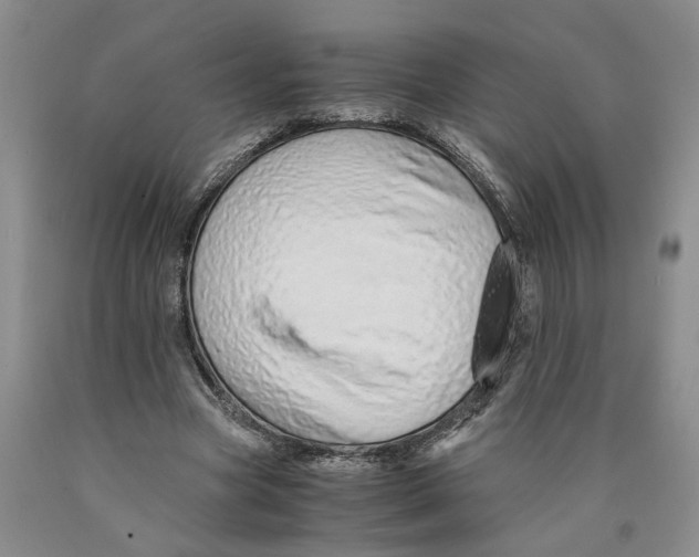 X0000089930537200707271800