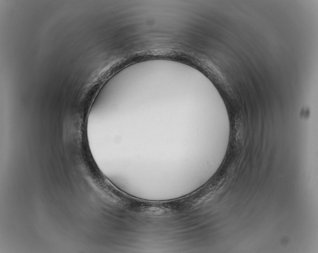 X0000089930542200707271800