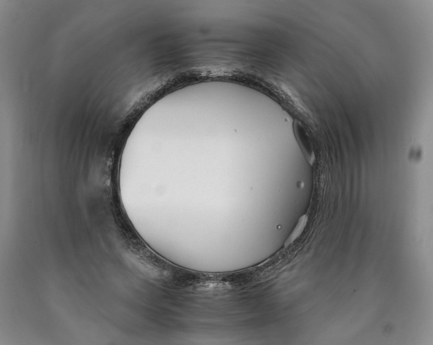 X0000089930543200707271800