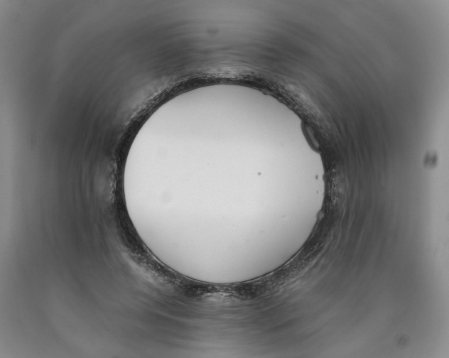 X0000089930544200707271800