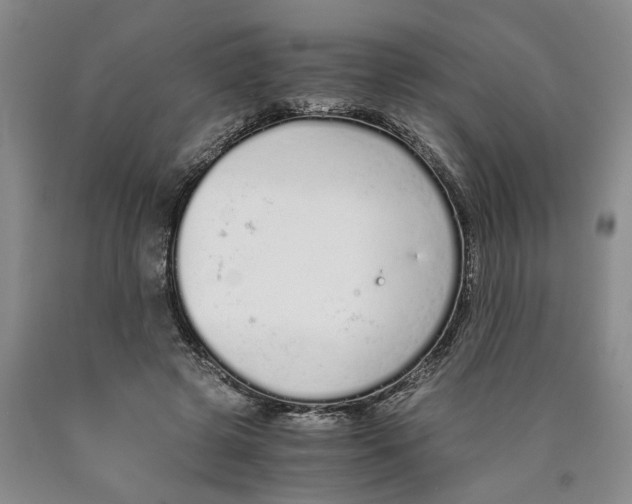 X0000089930545200707271800