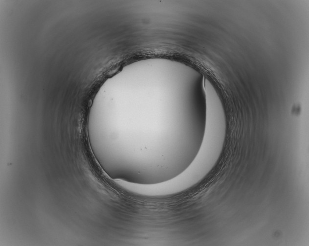 X0000089930546200707271800