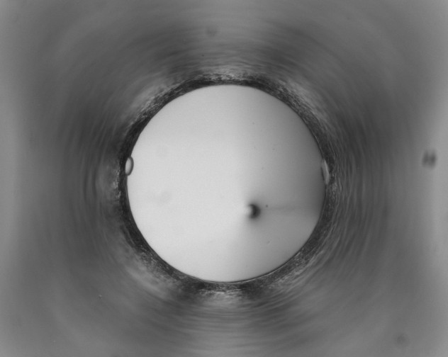 X0000089930548200707271800