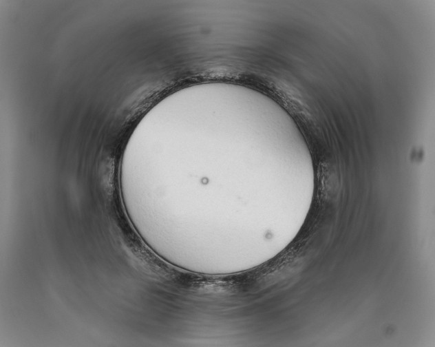 X0000089930550200707271800